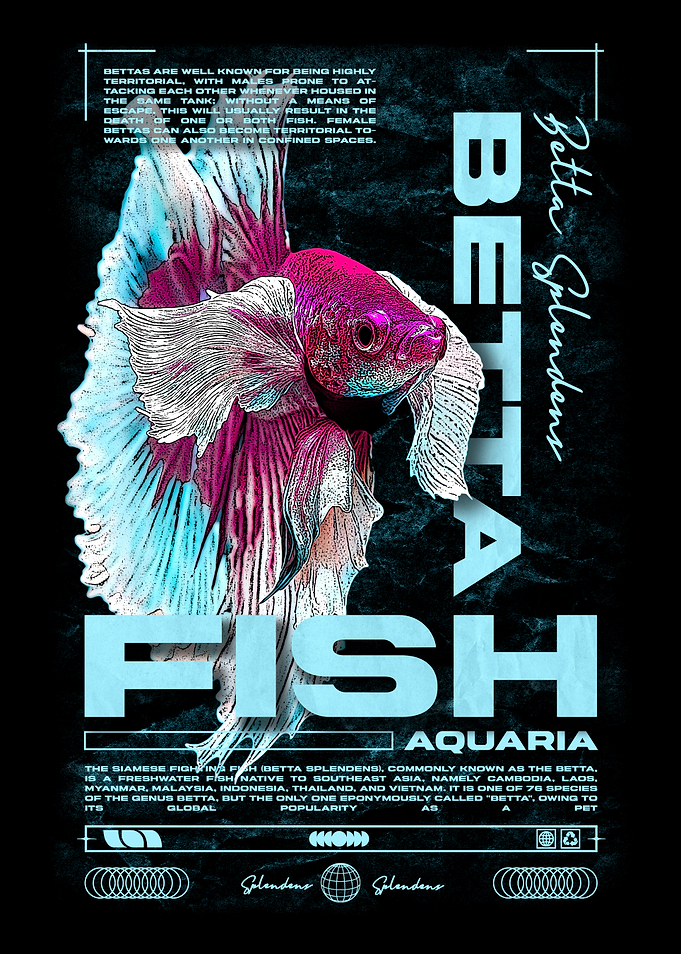 Betta Splendens Fish Art