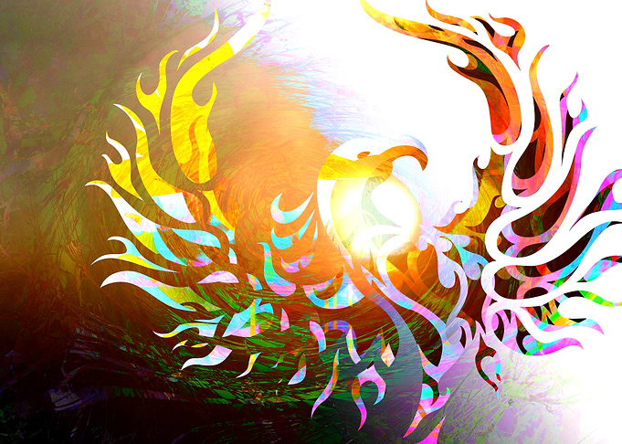 Journey of the Phoenix
