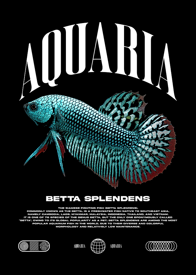 Betta Splendens Fish Keeper