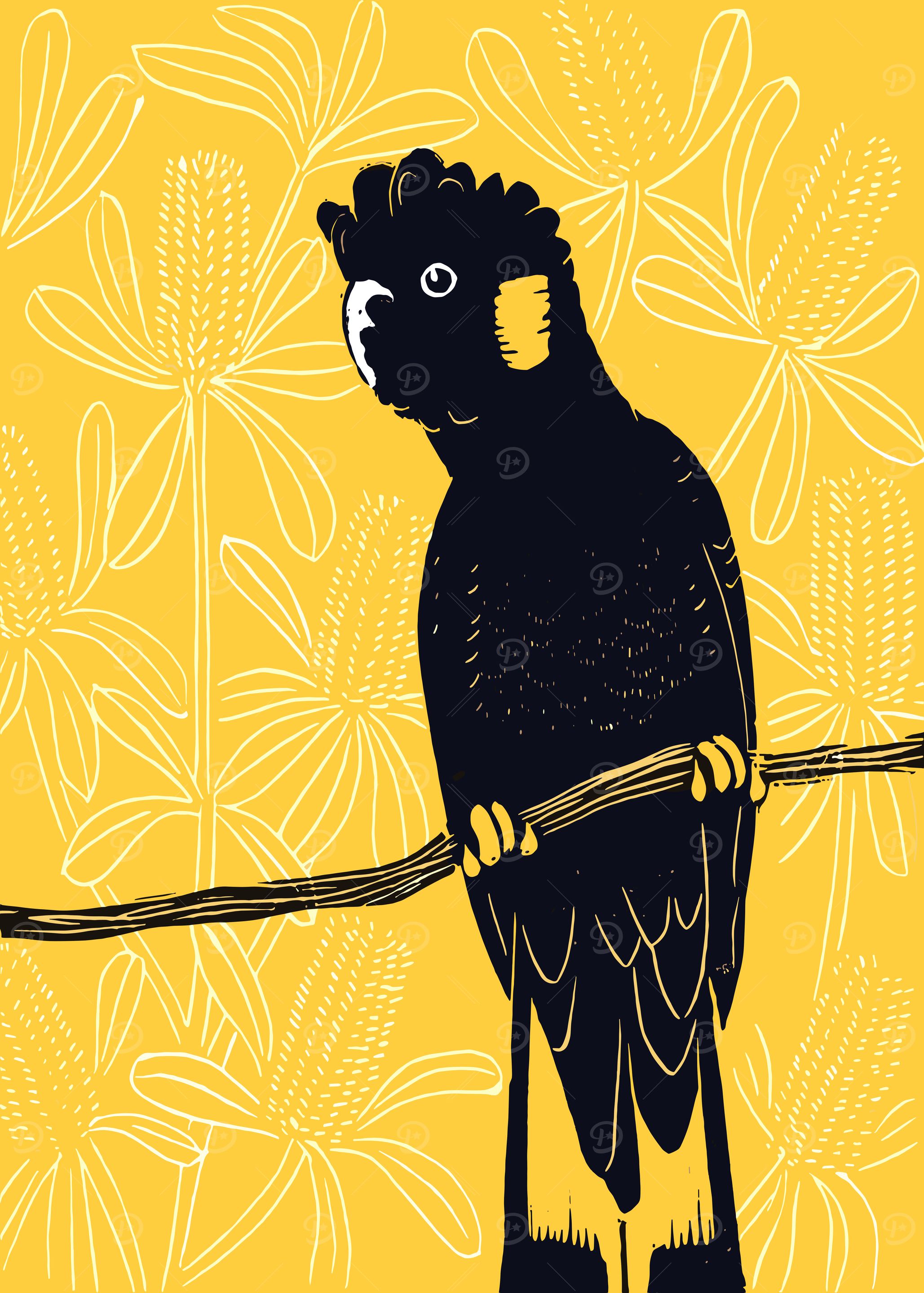 Black Cockatoo on Branch