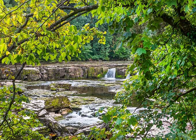 Aysgarth Falls and woodland