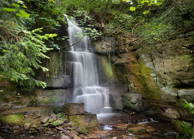 Waterfall in Lush Forest