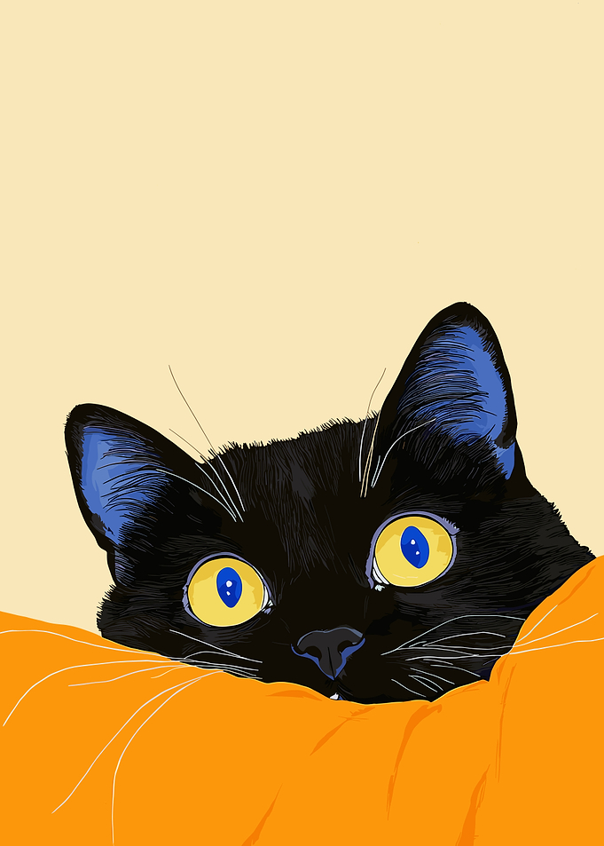 Black Cat with Big Eyes