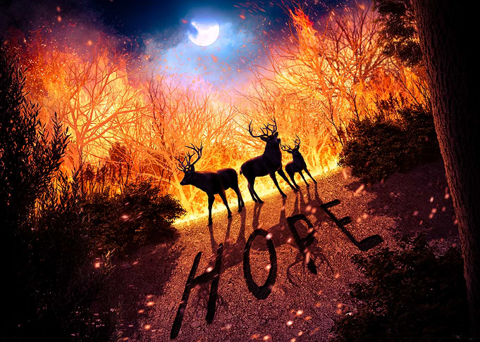 Hope in the Fire