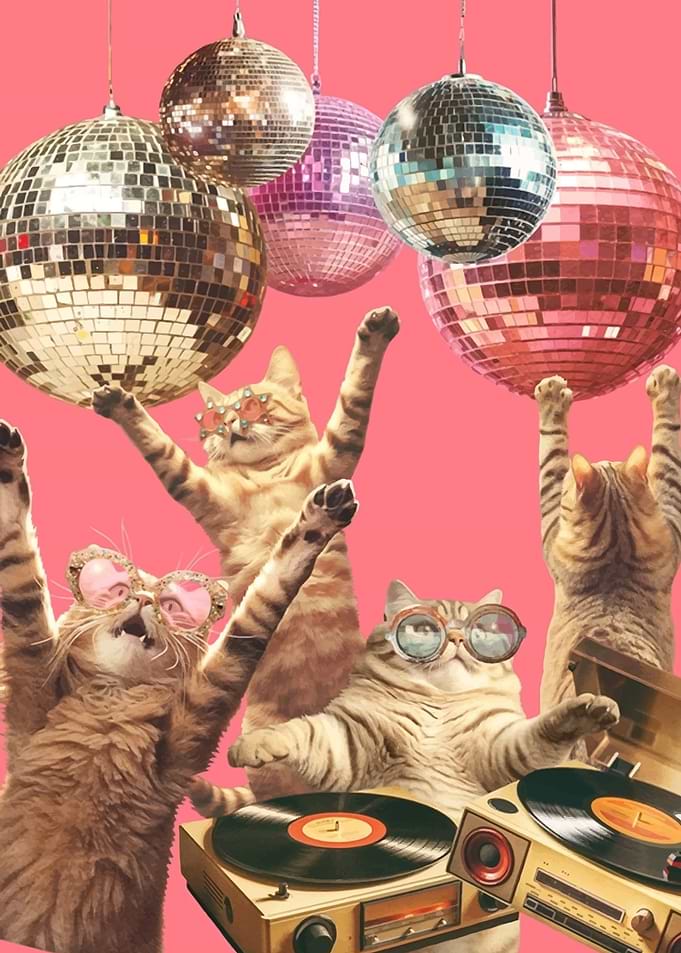Disco Cats Party