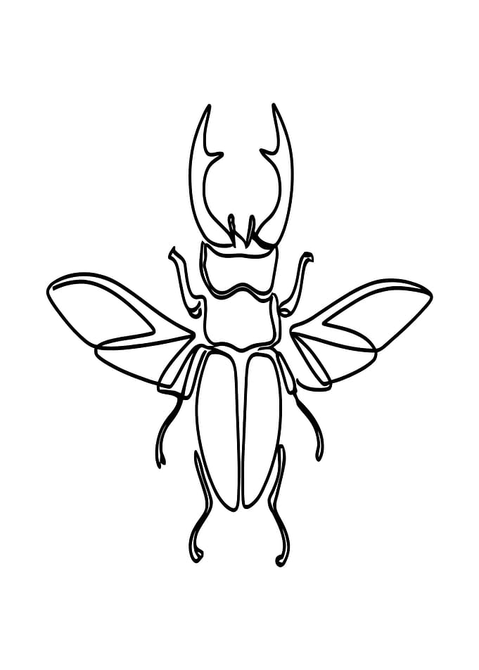 Stag Beetle Line Art