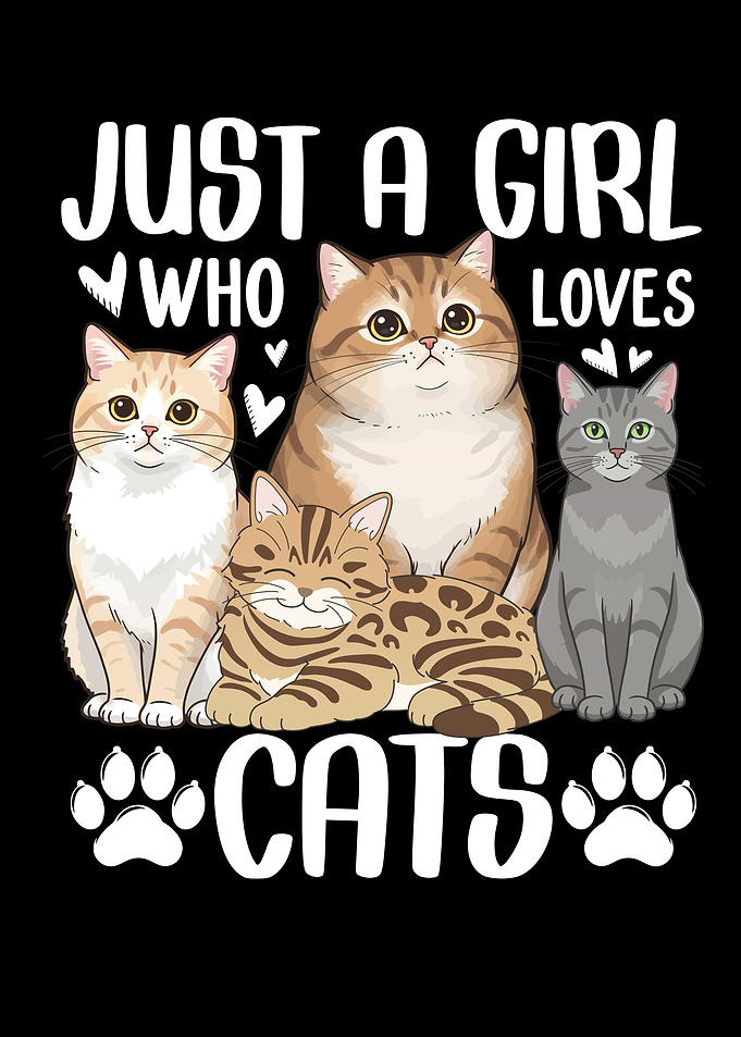 Cat Lover Graphic