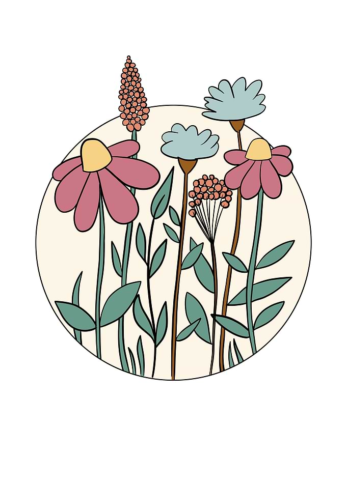 Wildflower Illustration