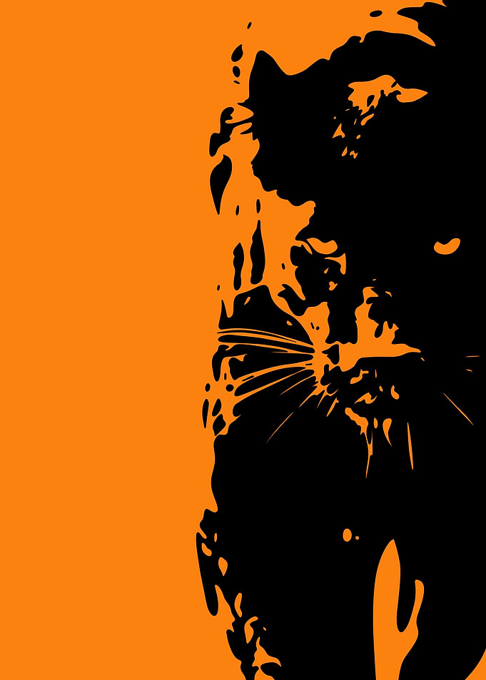 Black Cat Silhouette