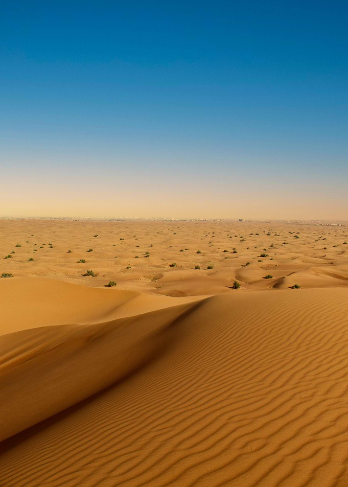 Desert Dunescape