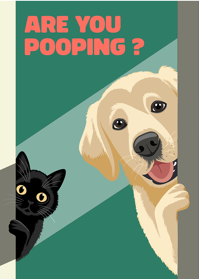 Dog and Cat are you Pooping