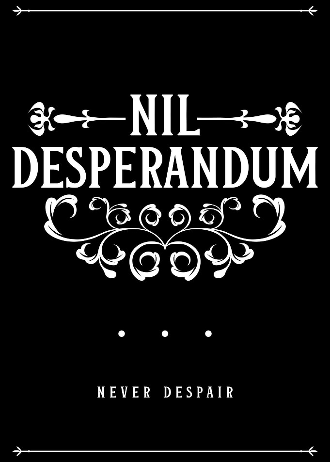 Nil Desperandum