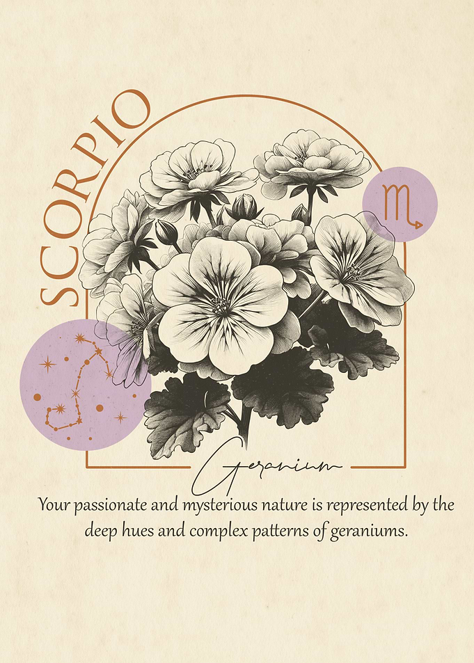 Scorpio Zodiac Geranium