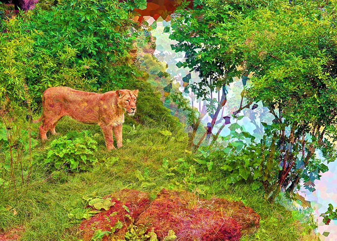 Lost Lioness