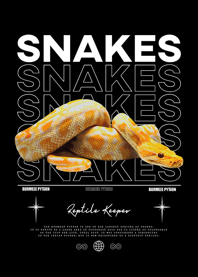 Burmese Python Snake Keeper