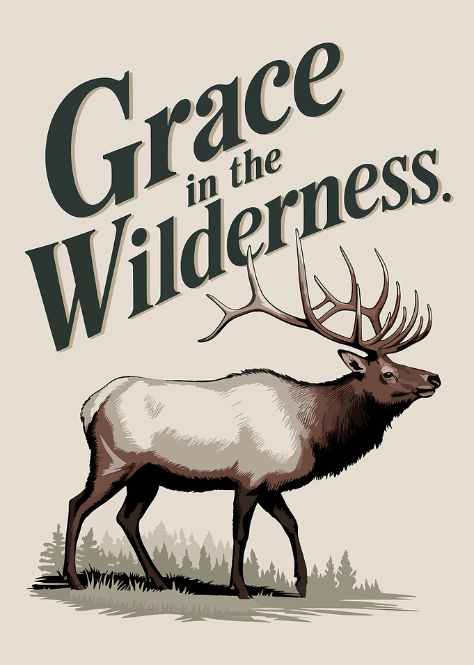 Grace in the Wilderness