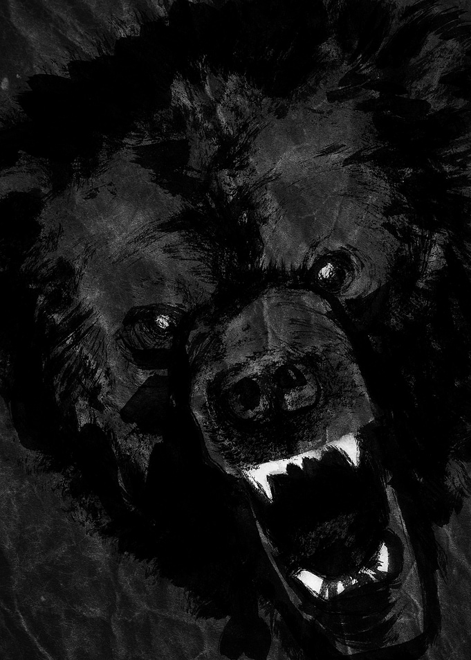 Angry Bear Portrait