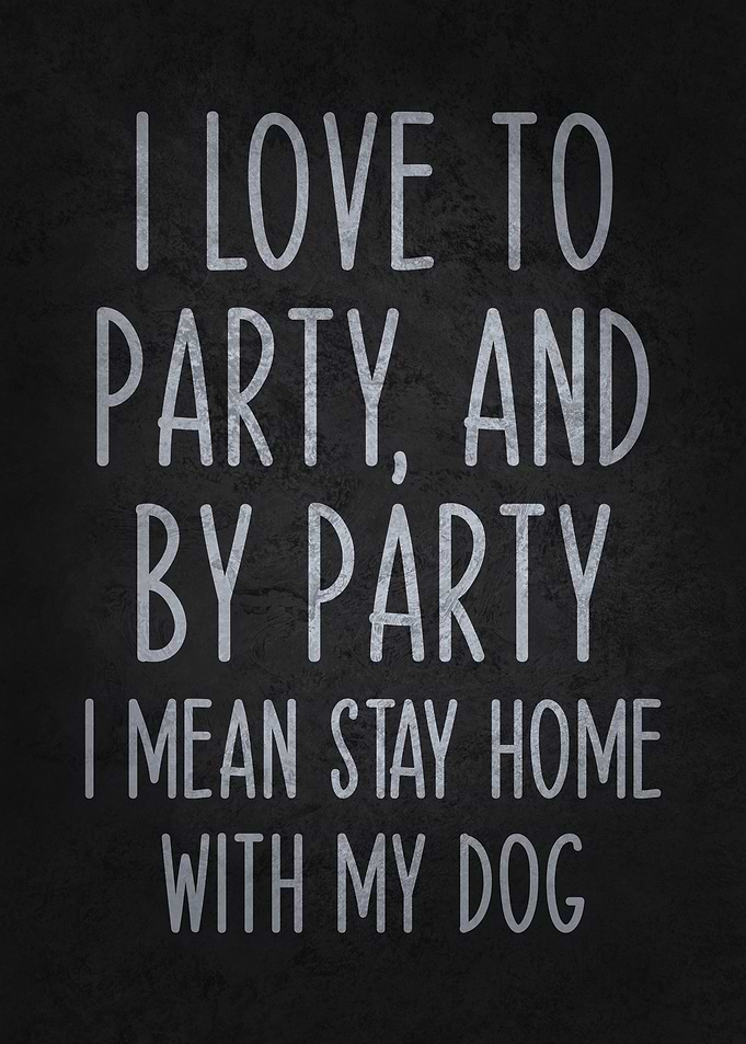 I Love to Party, and by Party, I Mean Stay Home with My Dog