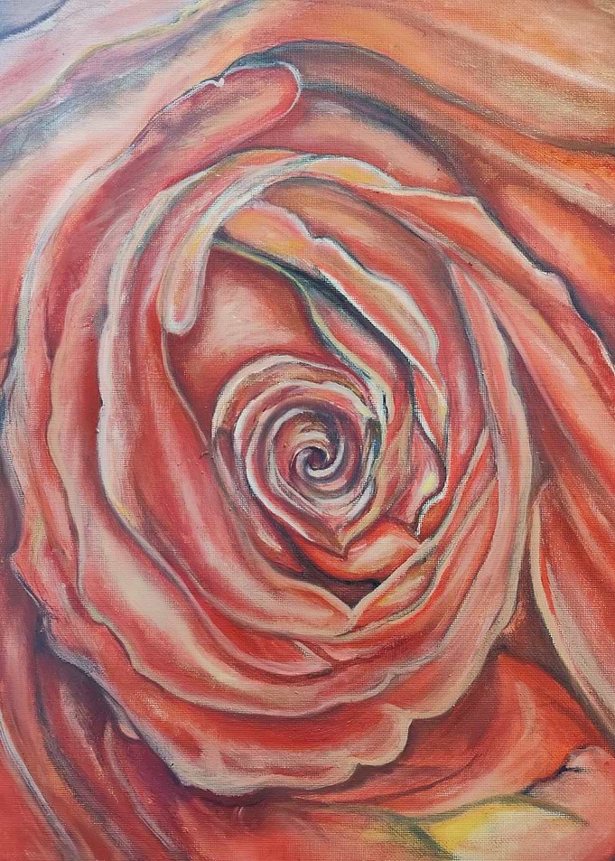 Red rose center