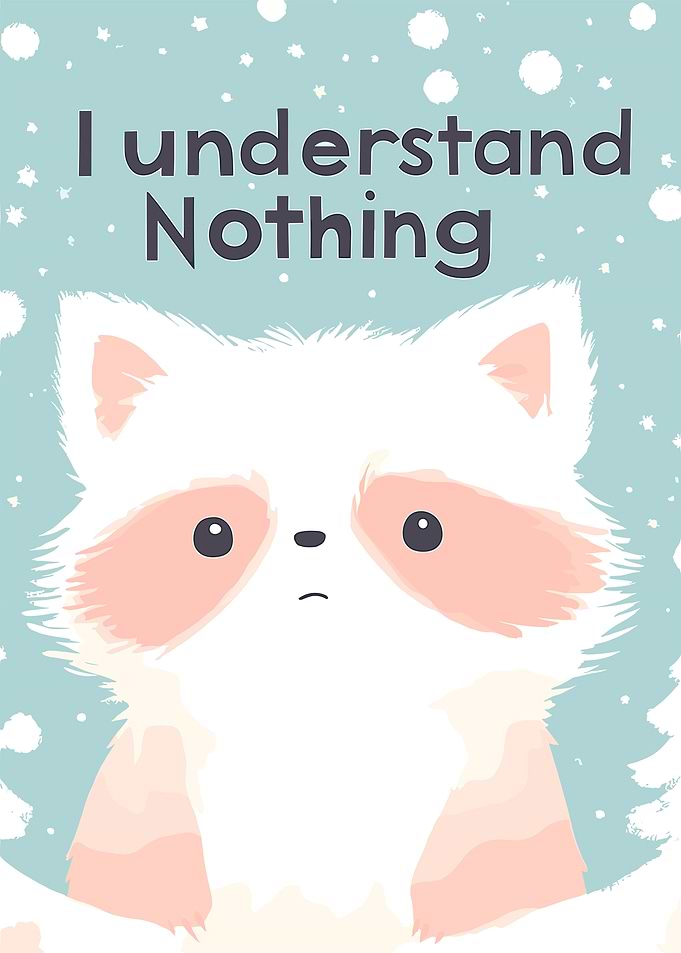 Raccoon Understands Nothing