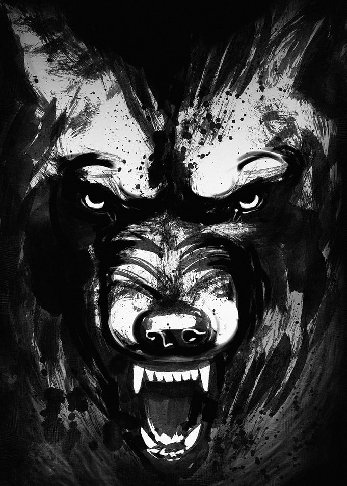 Wolf Portrait