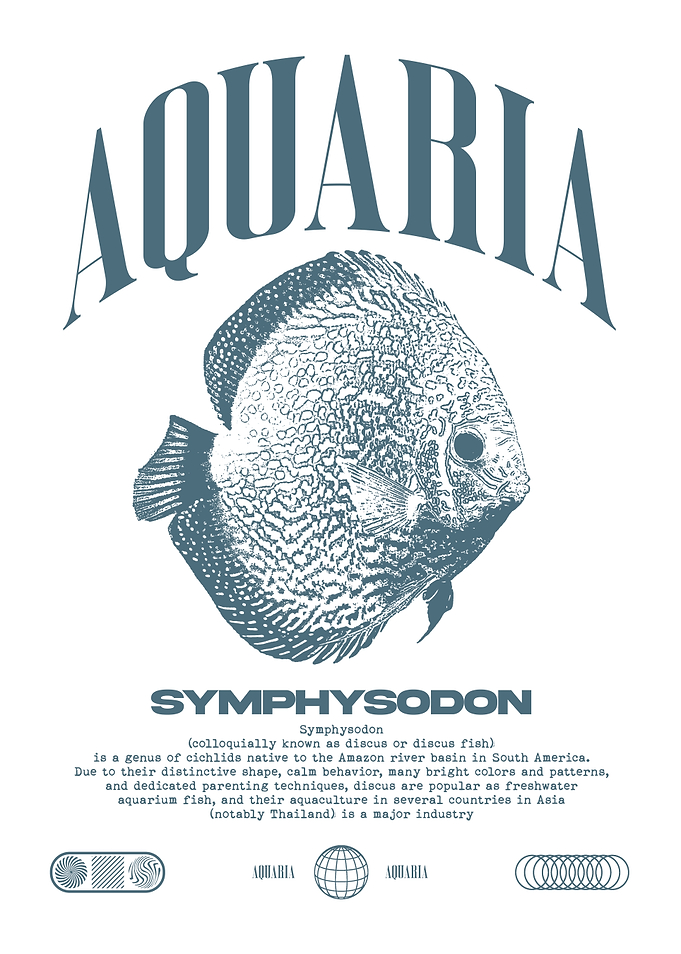 Discus Fish Aquarist Tropical Fish Keeper