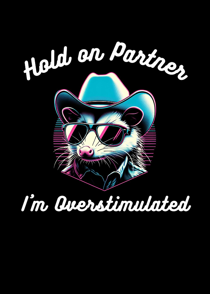 Opossum in Cowboy Hat