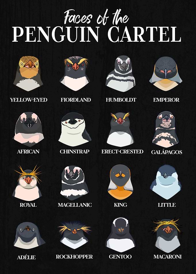 Penguin Cartel - Types of Penguins
