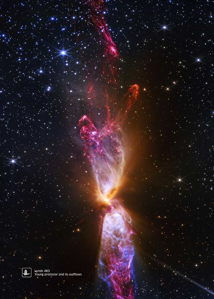 Lynds 483, Young protostar and its outflows