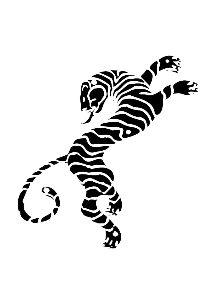 Black and White Tiger Design