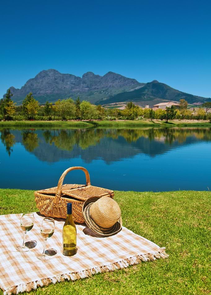 Picnic by the Lake