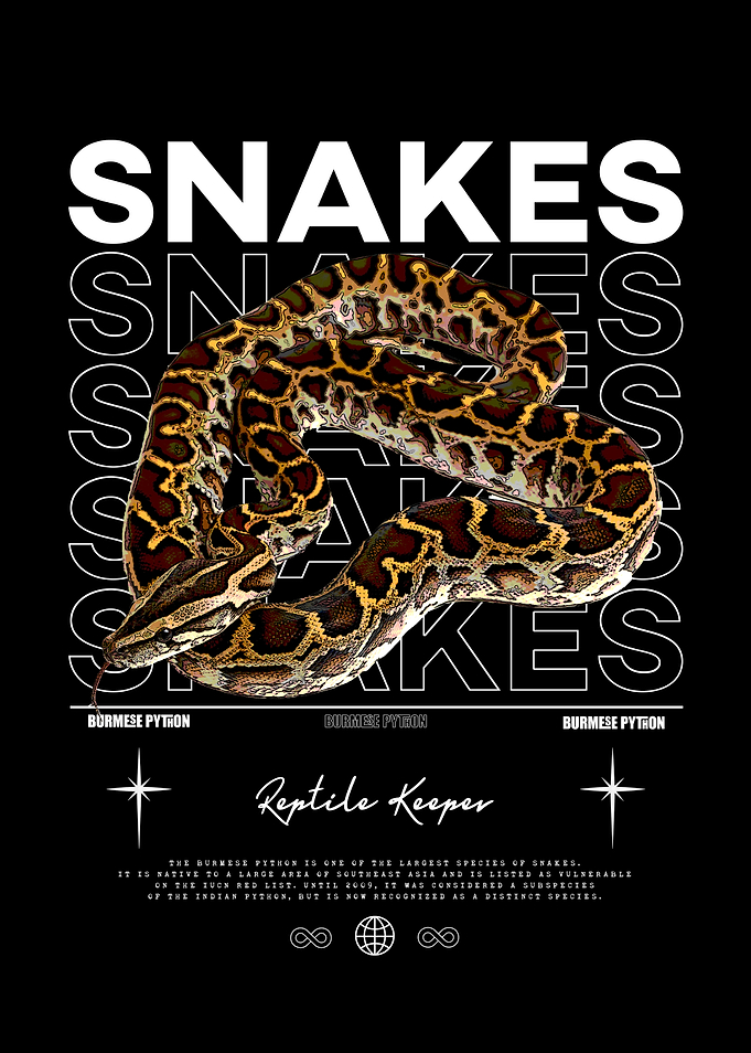 Burmese Python Snake Owner