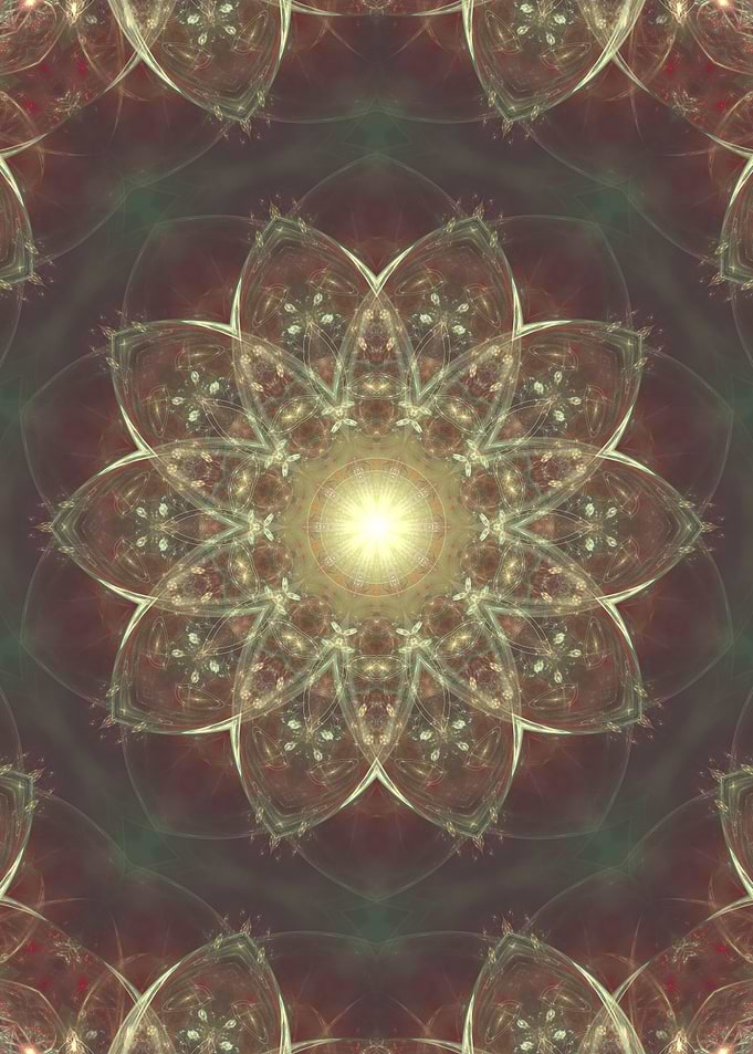 Muted Lotus