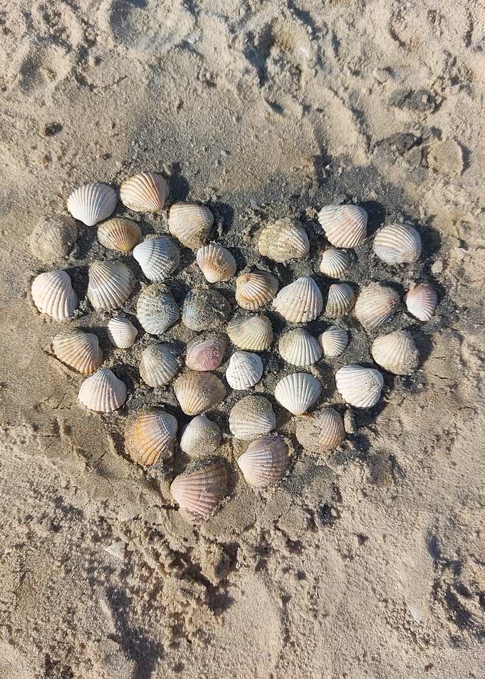 Seashell Heart on Beach