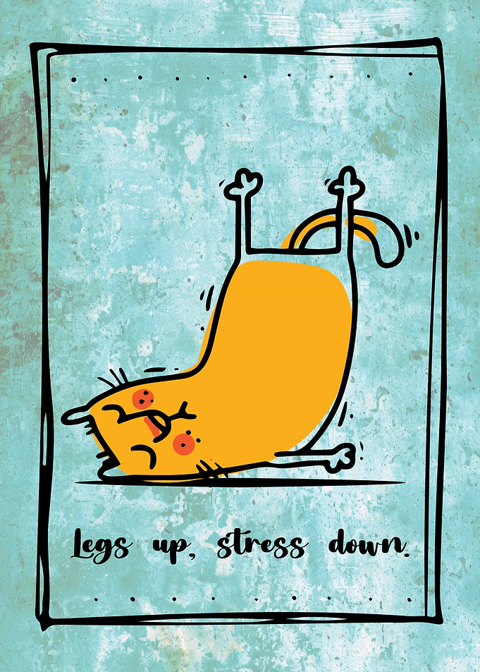 Cat Yoga Stress Relief