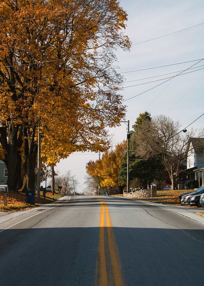 Autumn Road