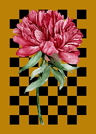 Watercolor Peony on Checkerboard