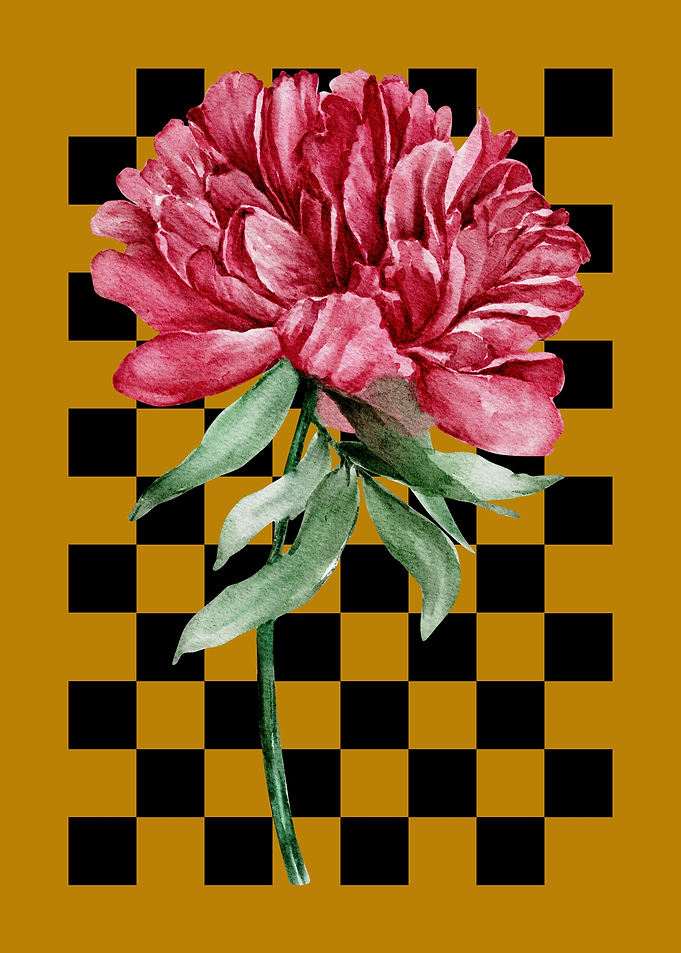 Watercolor Peony on Checkerboard
