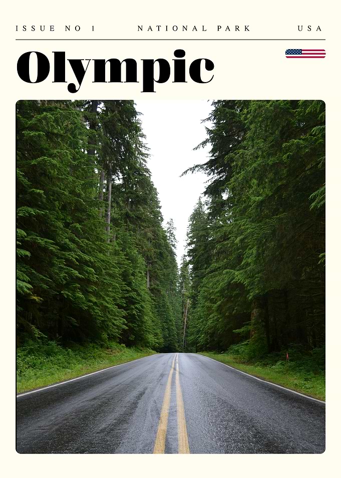 Olympic National Park Travel Art Poster