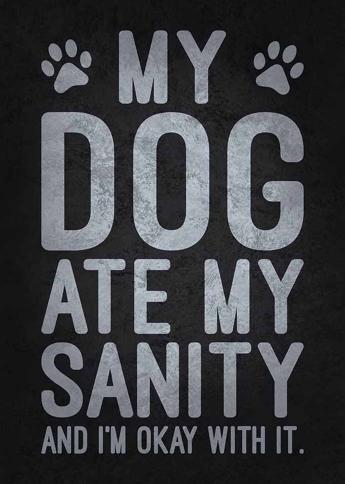 My Dog Ate My Sanity