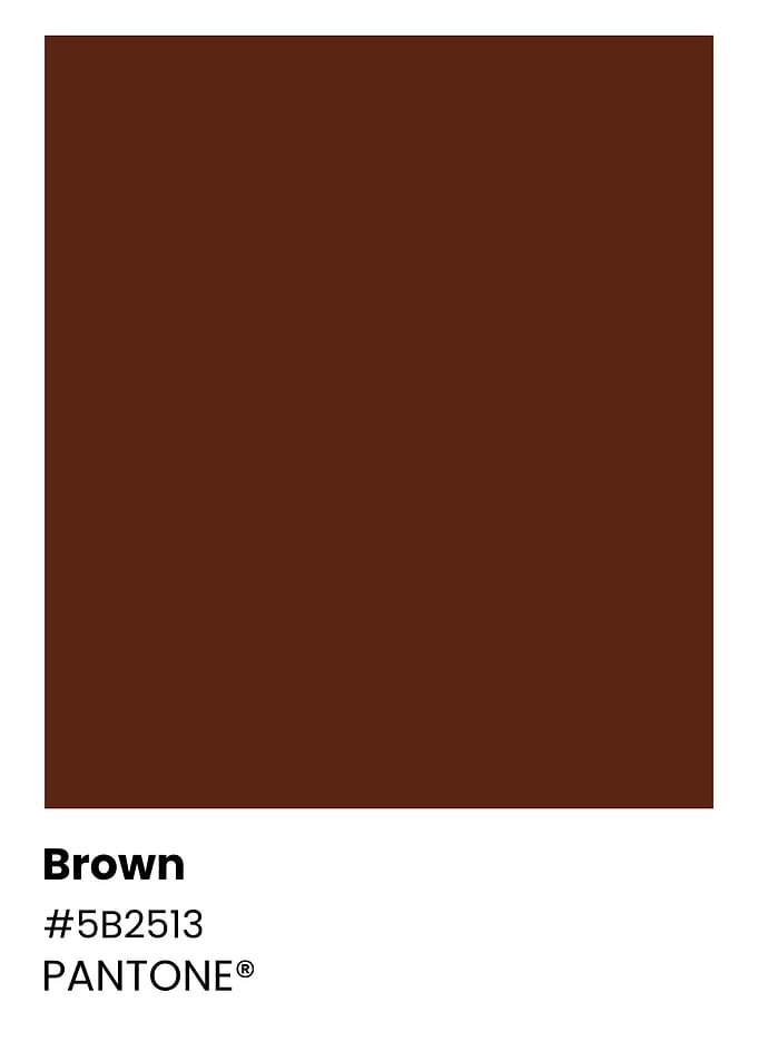 Pantone Brown Color Swatch