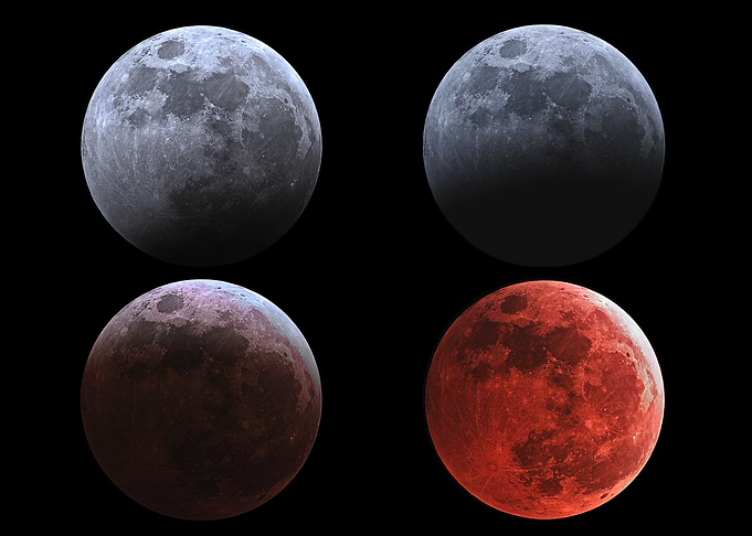 Lunar Eclipse Phases - 14 March 2025