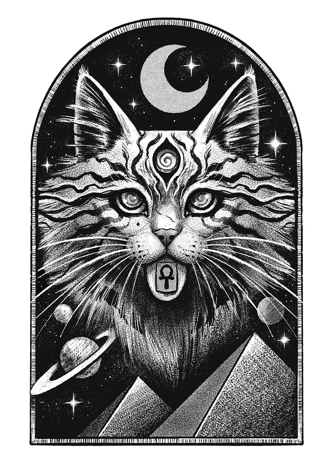Mystical Cat