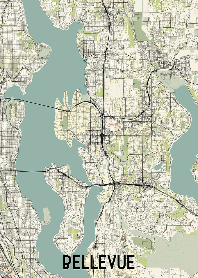 Bellevue City Map