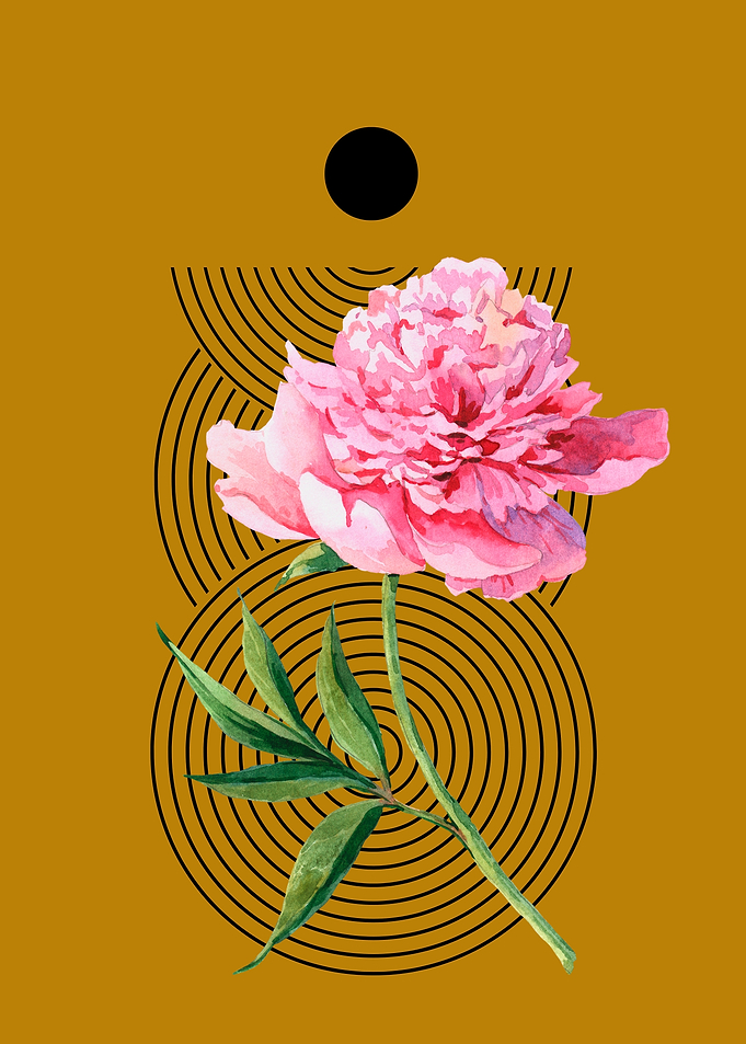 Pink Peony with Geometric Pattern