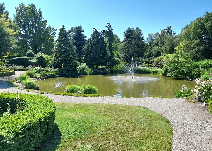 Serene Garden Pond