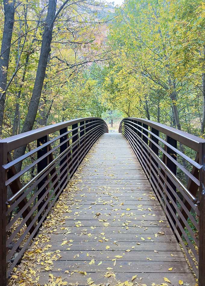 Wooden Bridge in Autumn Forest