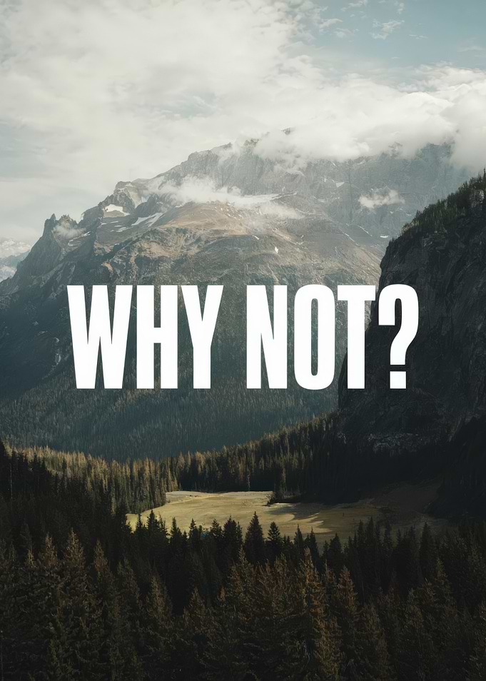 Why Not? Mountain Landscape and evergreen forest