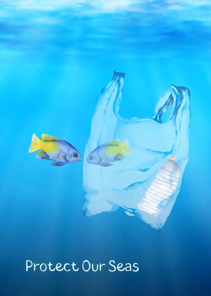 Protect Our Seas Poster