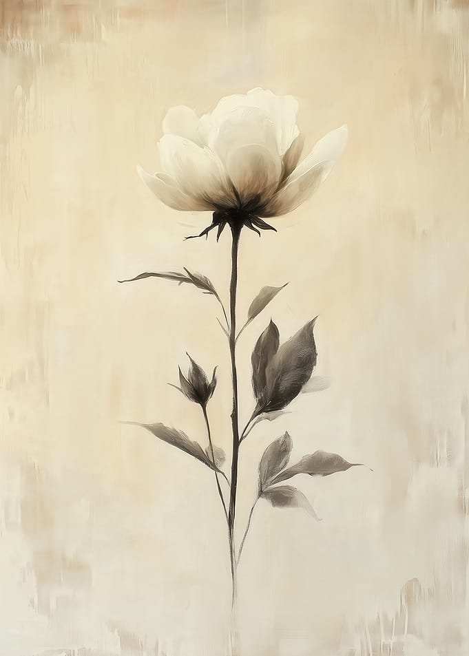 Single White Rose